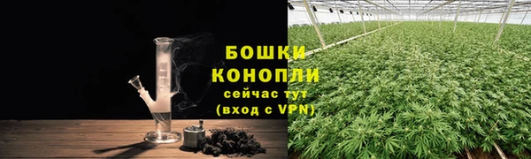 прущие грибы Белоозёрский