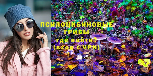 spice Белокуриха