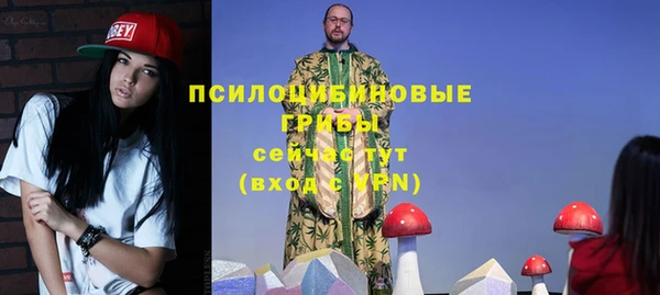 прущие грибы Белоозёрский