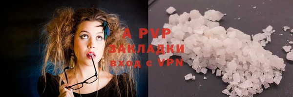прущие грибы Белоозёрский
