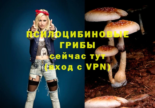 прущая мука Беломорск