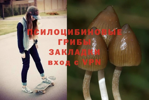 прущие грибы Белоозёрский