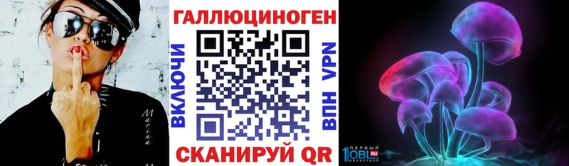 Купить  Гулькевичи  Галлюциногенные грибы Psilocybe 